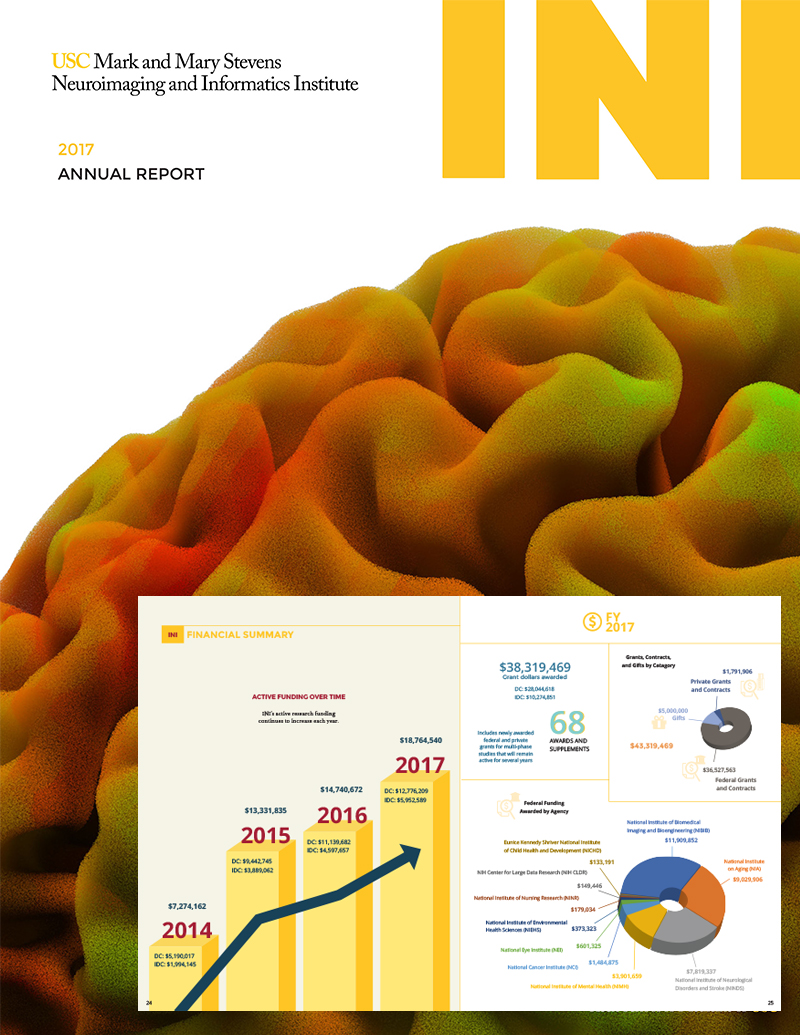 INI Annual Report