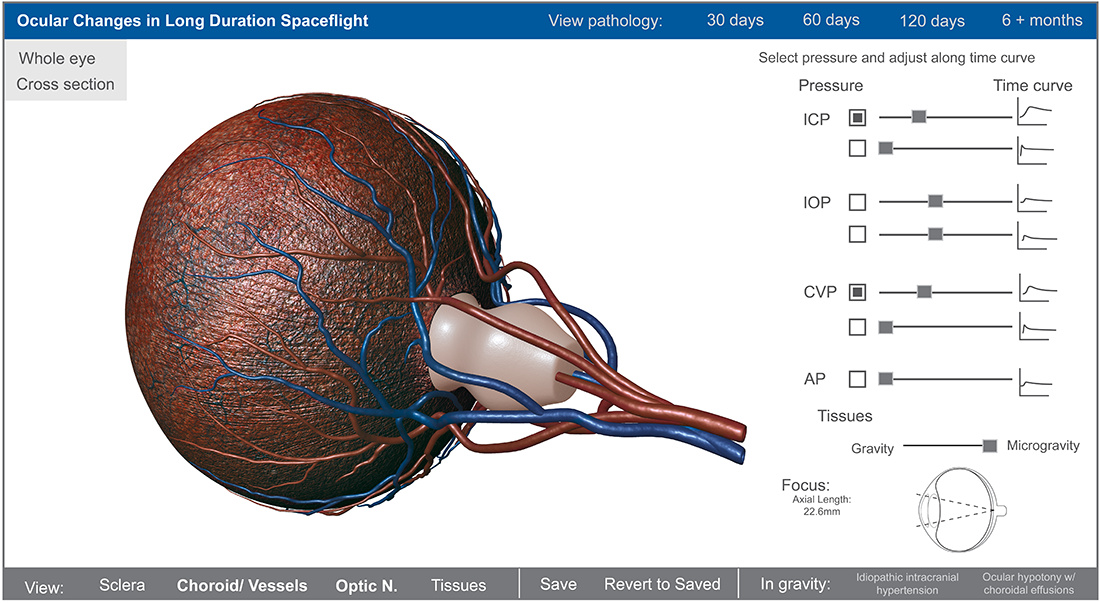 Interactive Interface